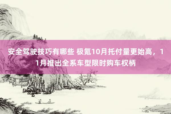 安全驾驶技巧有哪些 极氪10月托付量更始高，11月推出全系车型限时购车权柄