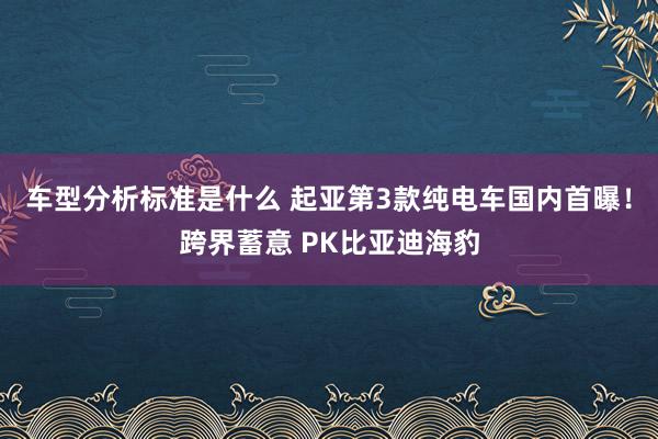 车型分析标准是什么 起亚第3款纯电车国内首曝！跨界蓄意 PK比亚迪海豹