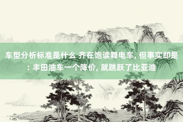 车型分析标准是什么 齐在饱读舞电车, 但事实却是: 丰田油车一个降价, 就跳跃了比亚迪