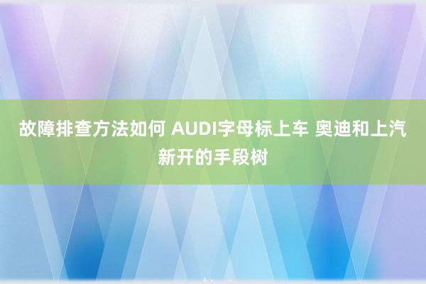 故障排查方法如何 AUDI字母标上车 奥迪和上汽新开的手段树