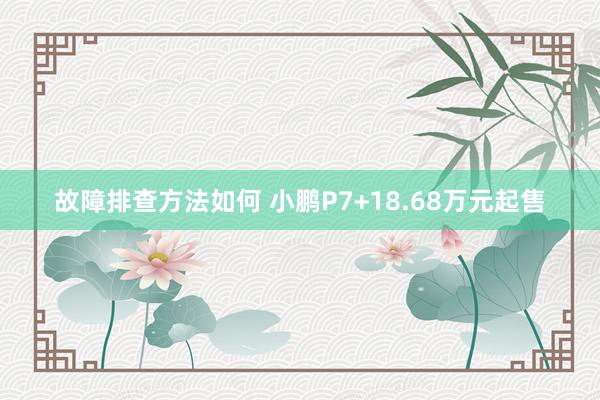 故障排查方法如何 小鹏P7+18.68万元起售