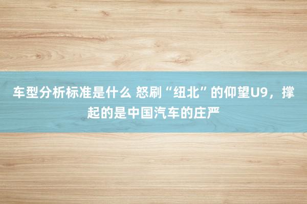 车型分析标准是什么 怒刷“纽北”的仰望U9，撑起的是中国汽车的庄严