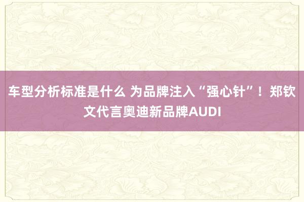 车型分析标准是什么 为品牌注入“强心针”！郑钦文代言奥迪新品牌AUDI