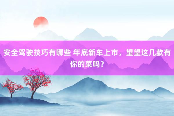 安全驾驶技巧有哪些 年底新车上市，望望这几款有你的菜吗？