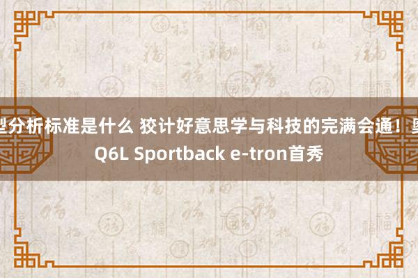 车型分析标准是什么 狡计好意思学与科技的完满会通！奥迪Q6L Sportback e-tron首秀