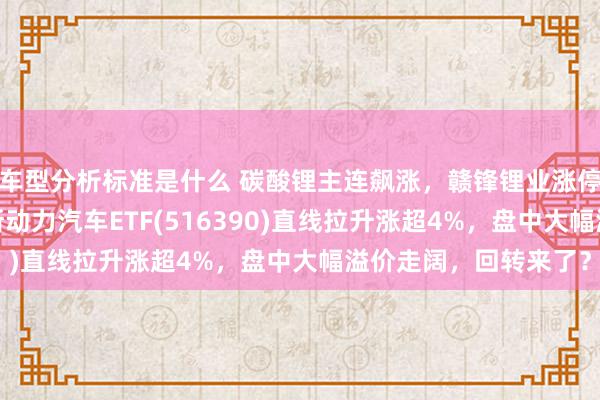 车型分析标准是什么 碳酸锂主连飙涨，赣锋锂业涨停、宁德期间涨3%，新动力汽车ETF(516390)直线拉升涨超4%，盘中大幅溢价走阔，回转来了？