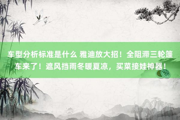 车型分析标准是什么 雅迪放大招！全阻滞三轮篷车来了！遮风挡雨冬暖夏凉，买菜接娃神器！