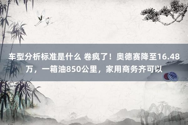 车型分析标准是什么 卷疯了！奥德赛降至16.48万，一箱油850公里，家用商务齐可以