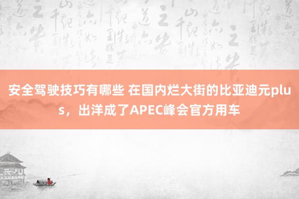 安全驾驶技巧有哪些 在国内烂大街的比亚迪元plus，出洋成了APEC峰会官方用车