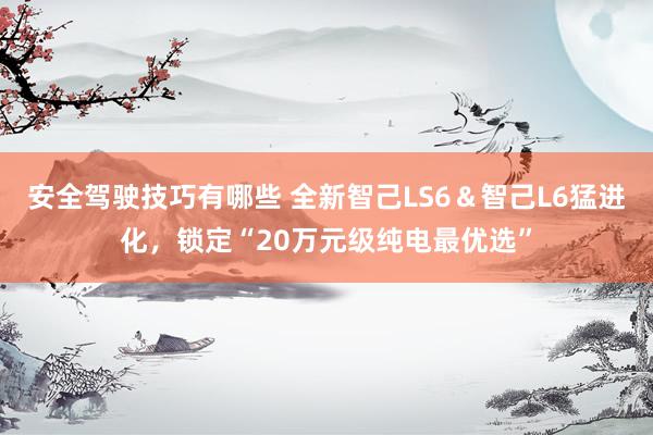 安全驾驶技巧有哪些 全新智己LS6＆智己L6猛进化，锁定“20万元级纯电最优选”