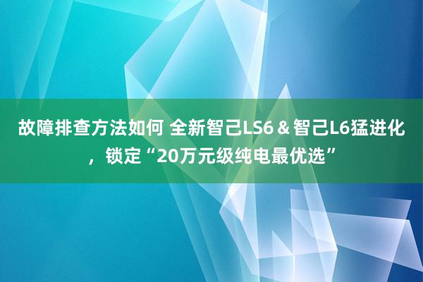 故障排查方法如何 全新智己LS6＆智己L6猛进化，锁定“20万元级纯电最优选”