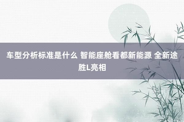 车型分析标准是什么 智能座舱看都新能源 全新途胜L亮相