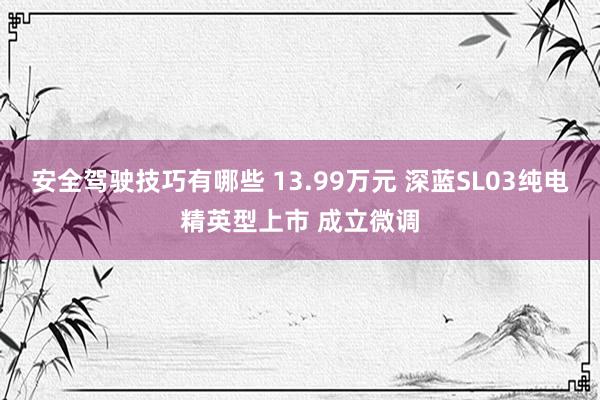 安全驾驶技巧有哪些 13.99万元 深蓝SL03纯电精英型上市 成立微调