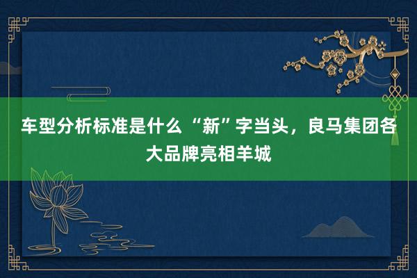 车型分析标准是什么 “新”字当头，良马集团各大品牌亮相羊城