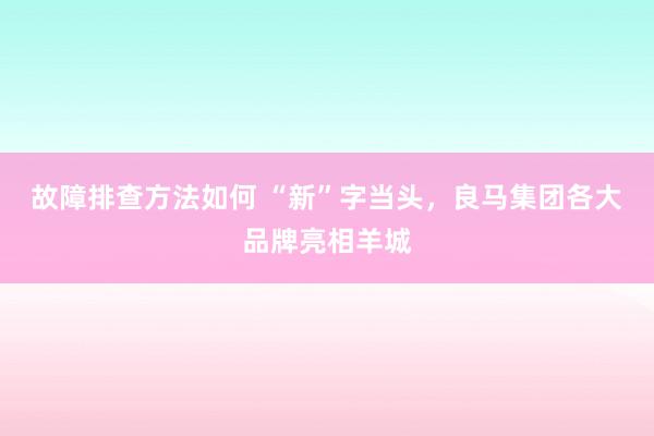 故障排查方法如何 “新”字当头，良马集团各大品牌亮相羊城