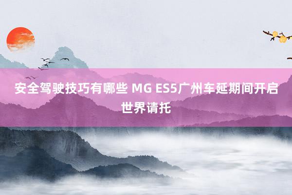 安全驾驶技巧有哪些 MG ES5广州车延期间开启世界请托