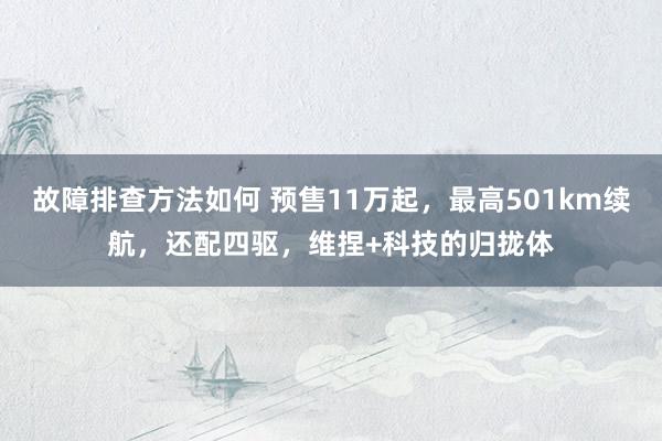 故障排查方法如何 预售11万起，最高501km续航，还配四驱，维捏+科技的归拢体