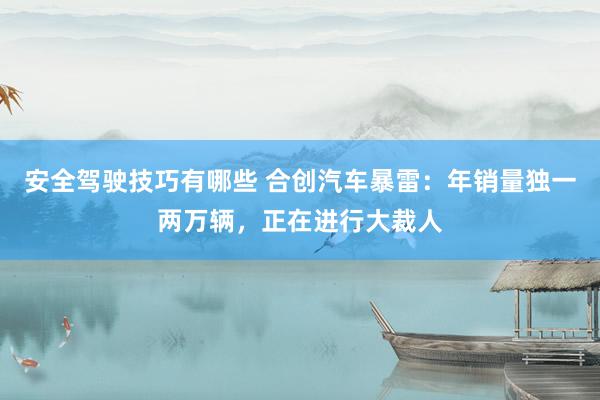 安全驾驶技巧有哪些 合创汽车暴雷：年销量独一两万辆，正在进行大裁人