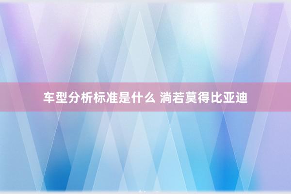 车型分析标准是什么 淌若莫得比亚迪