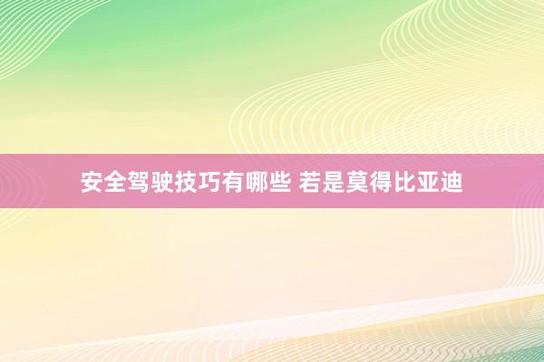 安全驾驶技巧有哪些 若是莫得比亚迪