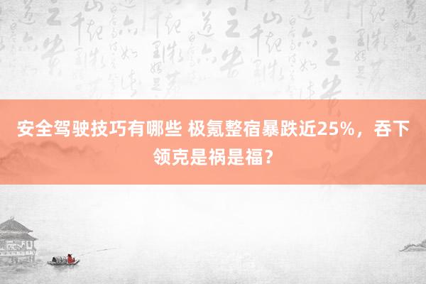 安全驾驶技巧有哪些 极氪整宿暴跌近25%，吞下领克是祸是福？