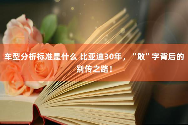 车型分析标准是什么 比亚迪30年，“敢”字背后的别传之路！