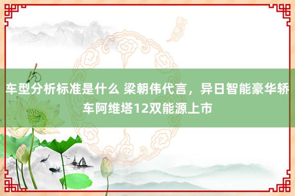 车型分析标准是什么 梁朝伟代言，异日智能豪华轿车阿维塔12双能源上市