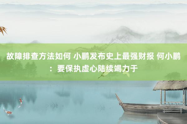 故障排查方法如何 小鹏发布史上最强财报 何小鹏：要保执虚心陆续竭力于