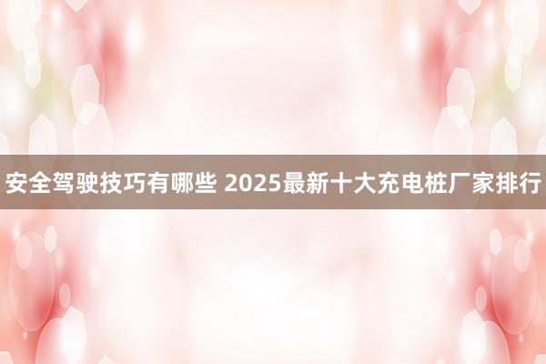 安全驾驶技巧有哪些 2025最新十大充电桩厂家排行