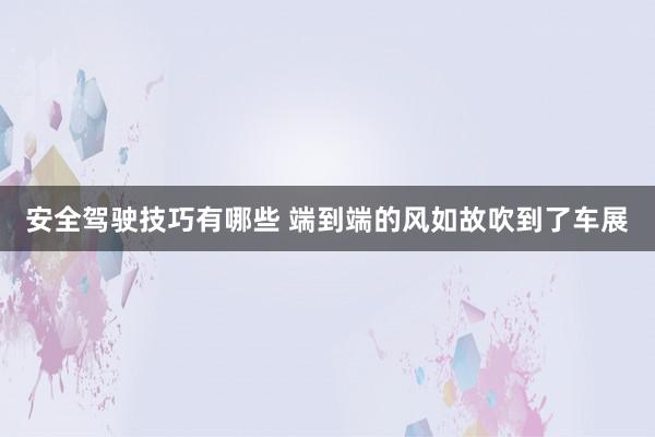 安全驾驶技巧有哪些 端到端的风如故吹到了车展