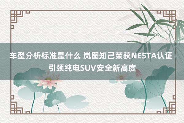 车型分析标准是什么 岚图知己荣获NESTA认证 引颈纯电SUV安全新高度