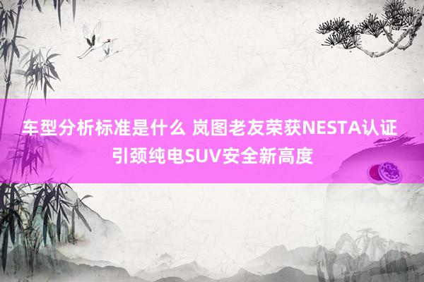 车型分析标准是什么 岚图老友荣获NESTA认证 引颈纯电SUV安全新高度