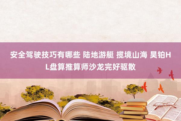 安全驾驶技巧有哪些 陆地游艇 揽境山海 昊铂HL盘算推算师沙龙完好驱散