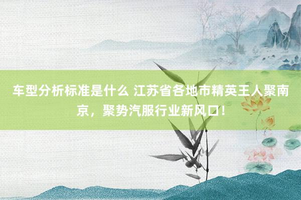 车型分析标准是什么 江苏省各地市精英王人聚南京，聚势汽服行业新风口！