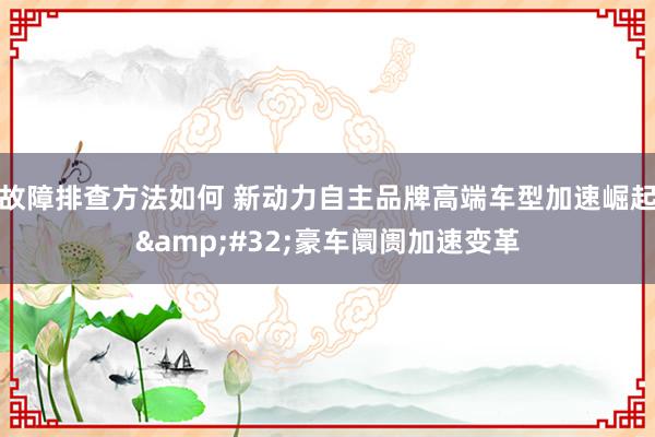 故障排查方法如何 新动力自主品牌高端车型加速崛起&#32;豪车阛阓加速变革