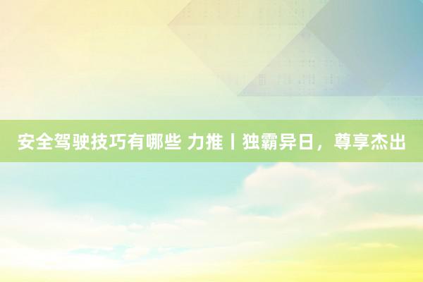 安全驾驶技巧有哪些 力推丨独霸异日，尊享杰出