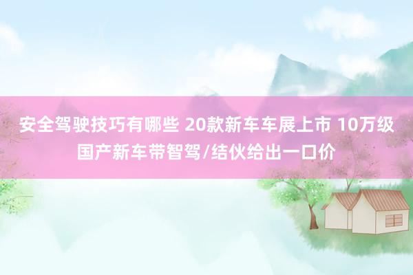 安全驾驶技巧有哪些 20款新车车展上市 10万级国产新车带智驾/结伙给出一口价