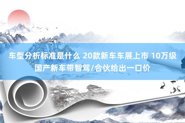 车型分析标准是什么 20款新车车展上市 10万级国产新车带智驾/合伙给出一口价