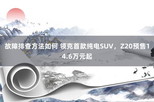 故障排查方法如何 领克首款纯电SUV，Z20预售14.6万元起