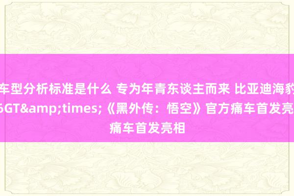 车型分析标准是什么 专为年青东谈主而来 比亚迪海豹06GT&times;《黑外传：悟空》官方痛车首发亮相