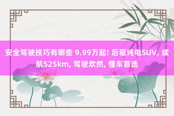 安全驾驶技巧有哪些 9.99万起! 后驱纯电SUV, 续航525km, 驾驶欢然, 懂车首选