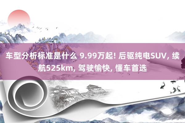 车型分析标准是什么 9.99万起! 后驱纯电SUV, 续航525km, 驾驶愉快, 懂车首选