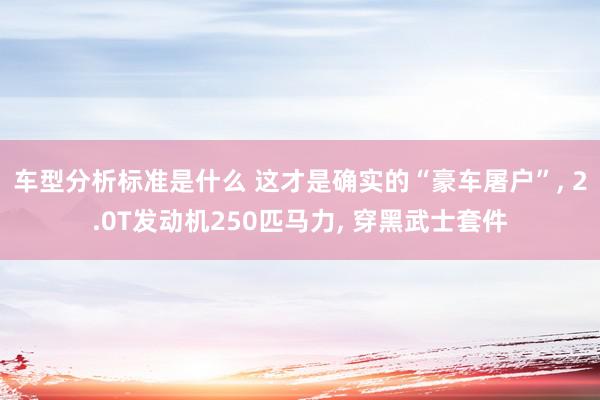 车型分析标准是什么 这才是确实的“豪车屠户”, 2.0T发动机250匹马力, 穿黑武士套件