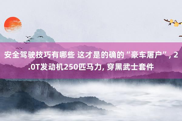 安全驾驶技巧有哪些 这才是的确的“豪车屠户”, 2.0T发动机250匹马力, 穿黑武士套件