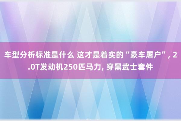 车型分析标准是什么 这才是着实的“豪车屠户”, 2.0T发动机250匹马力, 穿黑武士套件