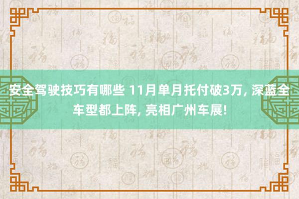 安全驾驶技巧有哪些 11月单月托付破3万, 深蓝全车型都上阵, 亮相广州车展!