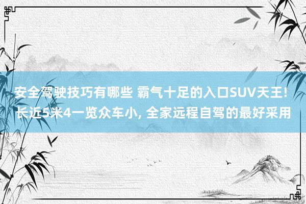 安全驾驶技巧有哪些 霸气十足的入口SUV天王! 长近5米4一览众车小, 全家远程自驾的最好采用