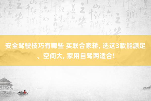 安全驾驶技巧有哪些 买联合家轿, 选这3款能源足、空间大, 家用自驾两适合!