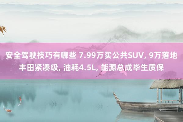 安全驾驶技巧有哪些 7.99万买公共SUV, 9万落地丰田紧凑级, 油耗4.5L, 能源总成毕生质保