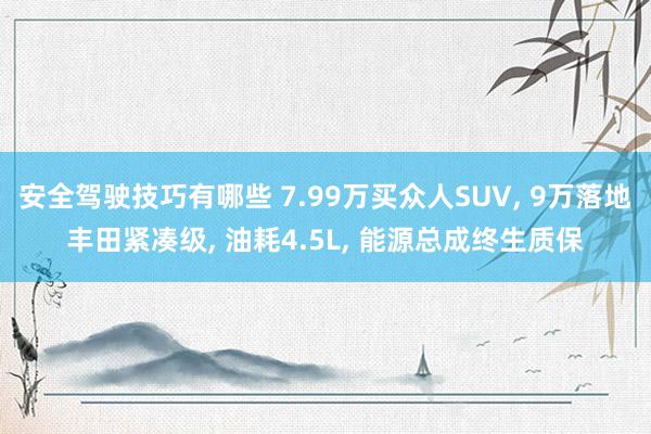 安全驾驶技巧有哪些 7.99万买众人SUV, 9万落地丰田紧凑级, 油耗4.5L, 能源总成终生质保